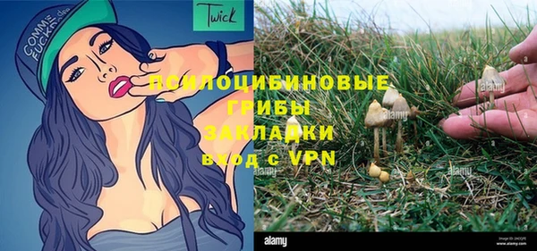 хмурый Алексин