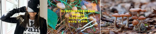 хмурый Алексин
