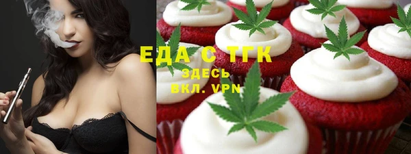 хмурый Алексин