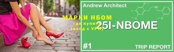 хмурый Алексин