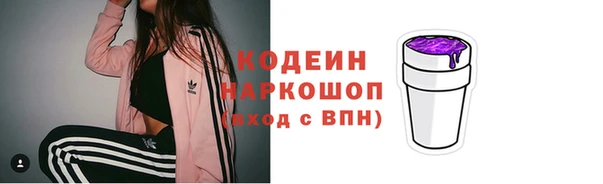 хмурый Алексин