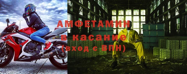 хмурый Алексин