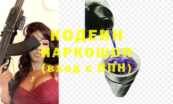 хмурый Алексин
