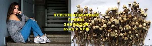mdpv Магас